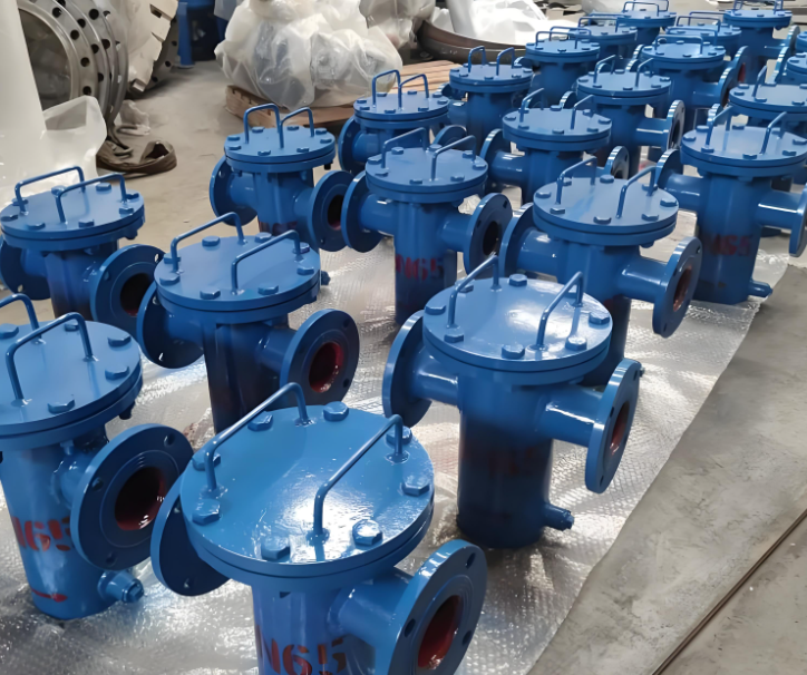 藍(lán)式管道過(guò)濾器 藍(lán)式管道過(guò)濾器